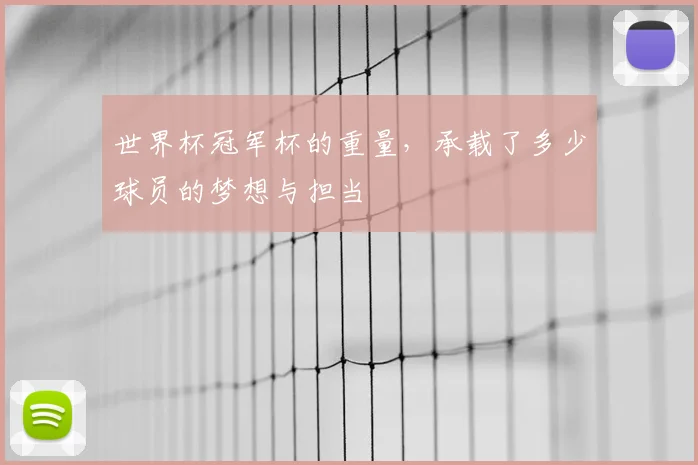 世界杯冠军杯的重量，承载了多少球员的梦想与担当